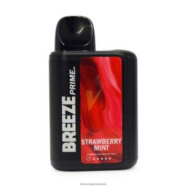 Breeze Prime 6000 pufuri menta de capsuni 844RTH10 Breeze Vape Ingredients