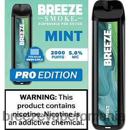Breeze Pro 2000 de pufuri mentă 844RTH20 Breeze Vape Ingredients