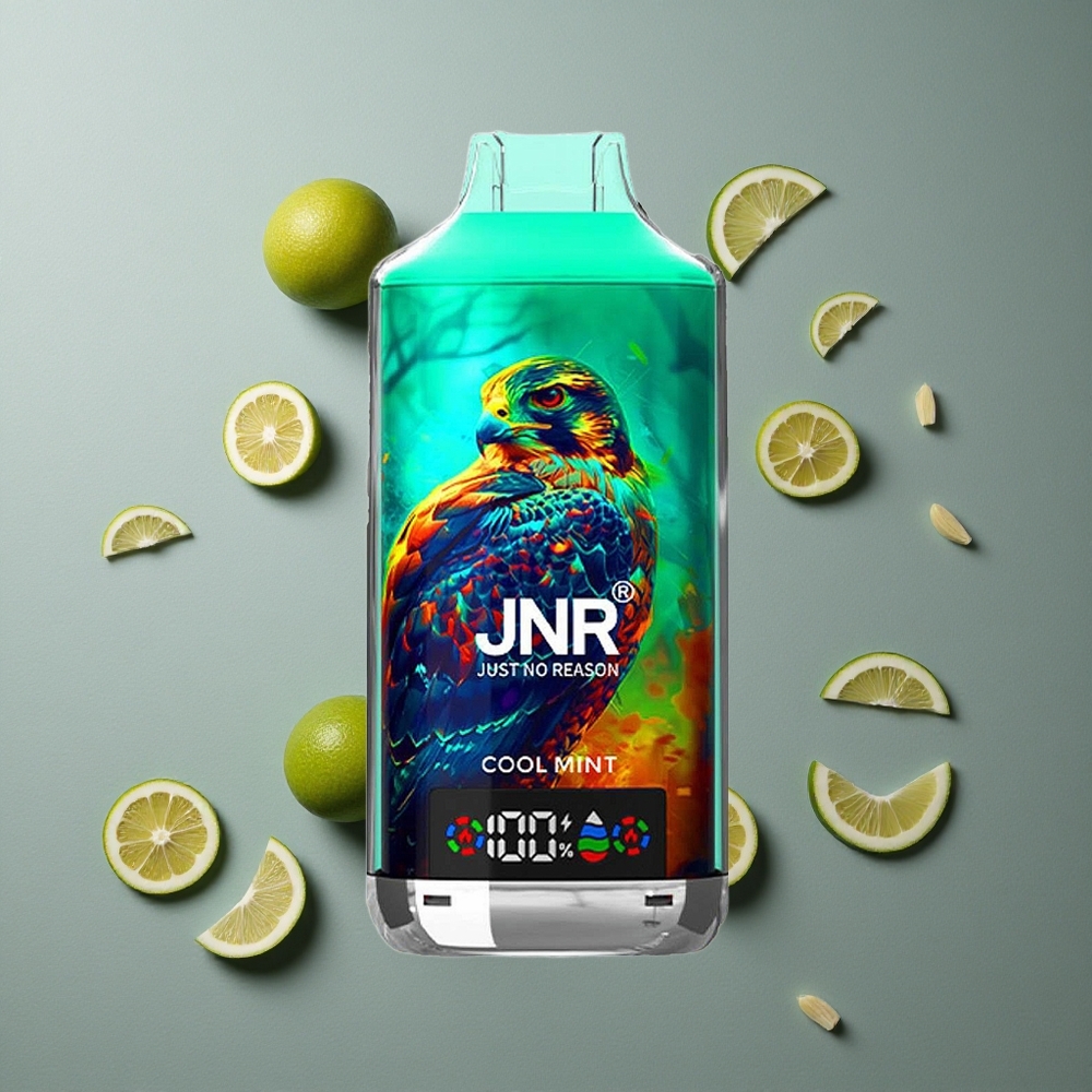 JNR Falcon X 18000 Puffs Dispozabil Mentă Răcoroasă cu Încărcare Rapidă Type-C