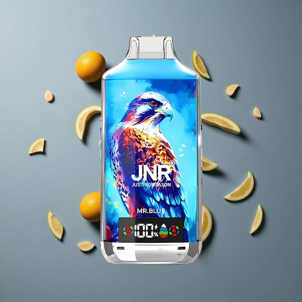 JNR Falcon X 18000 Puffs Vape de unică folosință Domnul Albastru cu Încărcare Rapidă Type-C