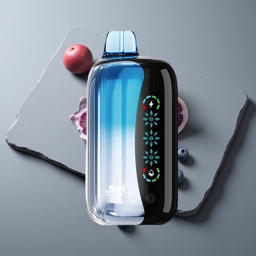 JNR Flex Ice 21000 Puffs Vape de unică folosință Afine Gheață cu 26ml E-lichid