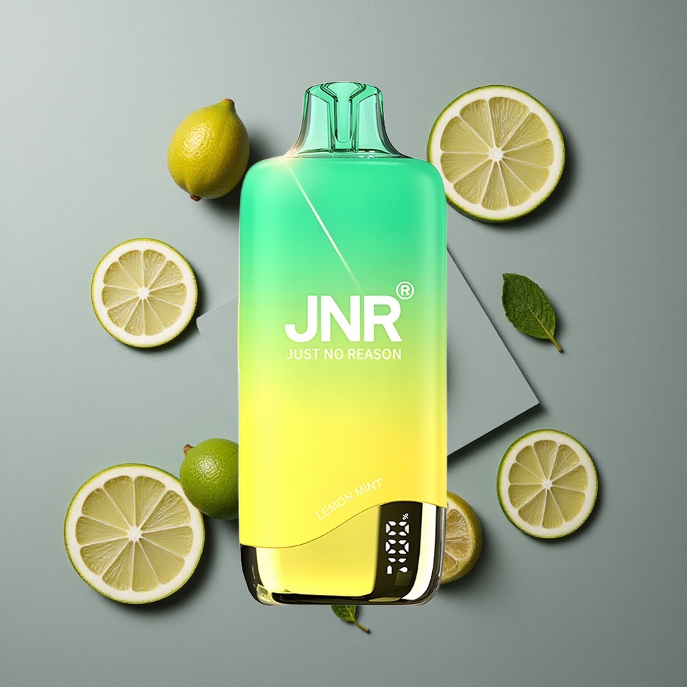 JNR Rainbow 10500 Puffs Vape de unică folosință Lămâie Mentă cu Baterie 600mAh