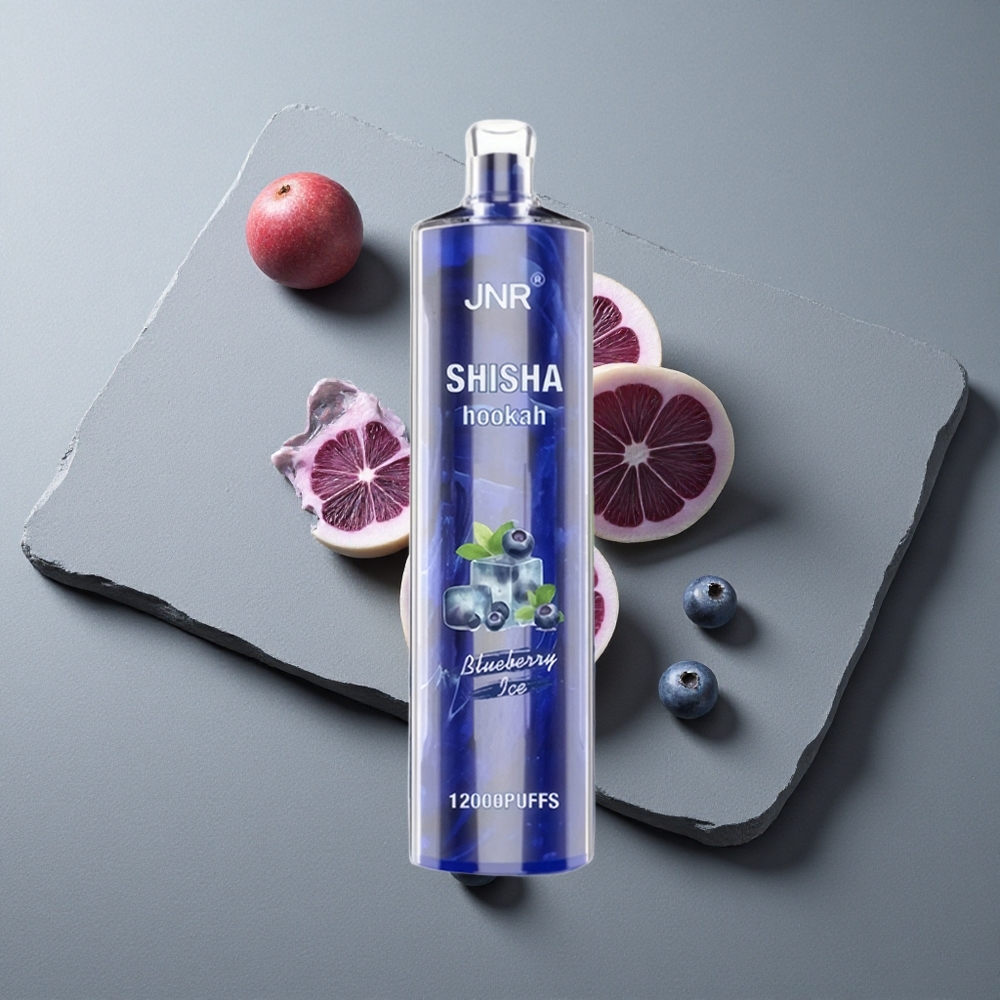 JNR Shisha Hookah 12000 Puffs 24ml Afine Înghețate Type-C Încărcare Rapidă