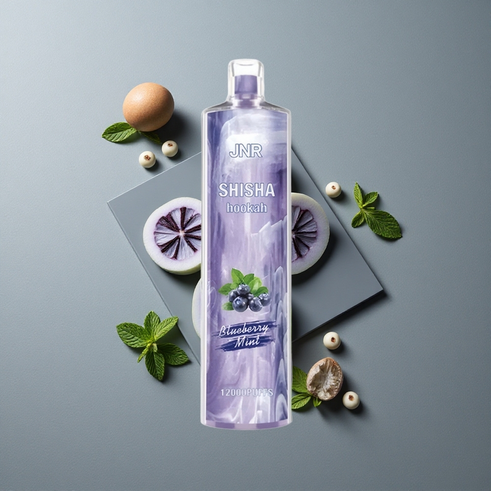 JNR Shisha Hookah 12000 Puffs 24ml Vape de unică folosință Afină Mentă