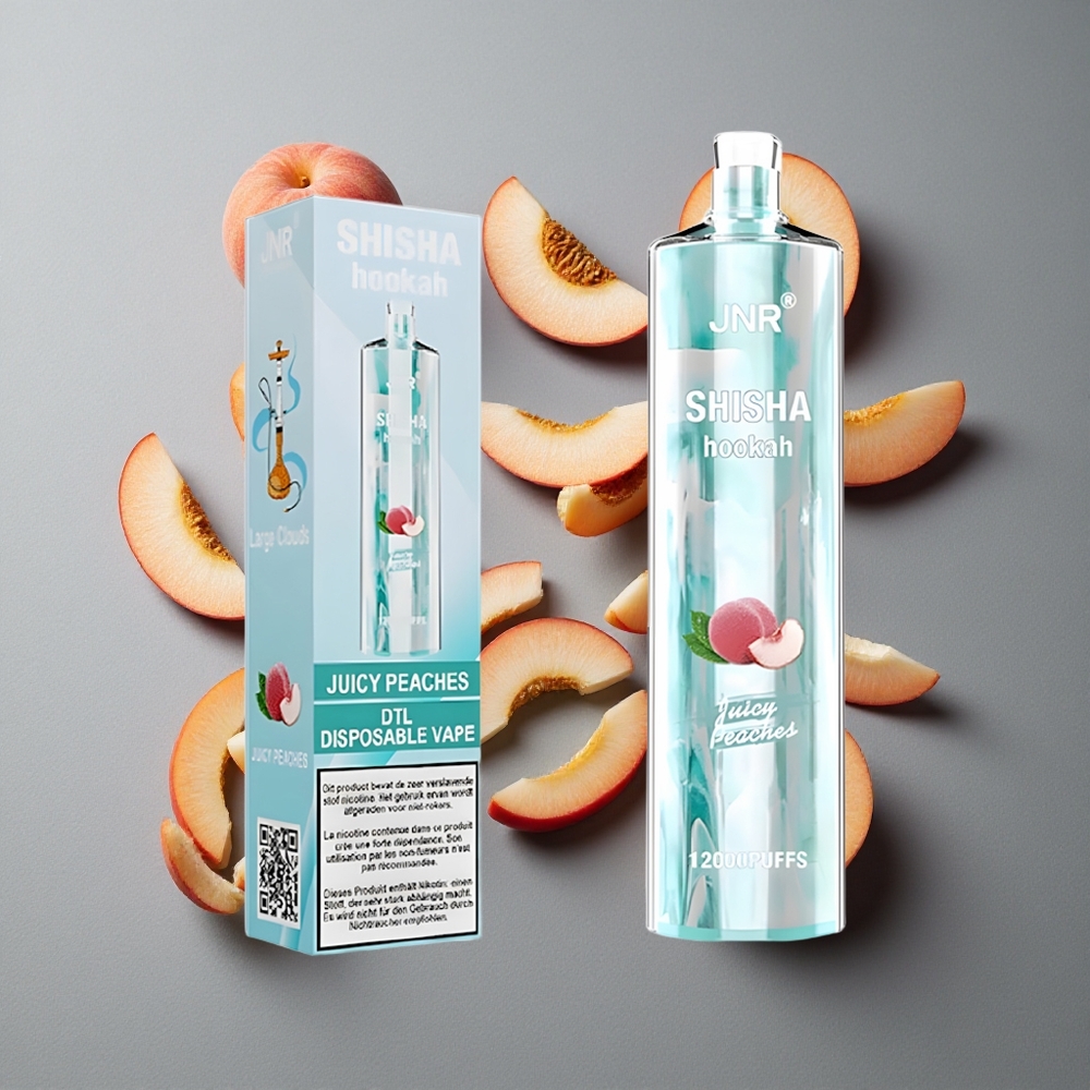 JNR Shisha Hookah 12000 Puffs Dispozabil Arome de Piersici Juicy cu Încărcare Rapidă Type-C