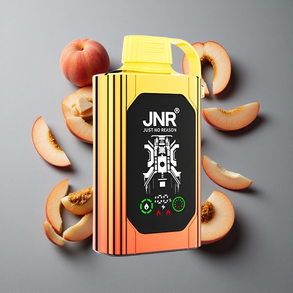 JNR Shisha Hookah Box 20500 Puffs Vape de unică folosință piersici suculente cu 25ml lichid și Dual Mesh Coil & Dual Core