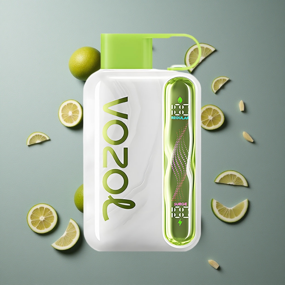 VOZOL STAR 40000 Puffs Dispozabil Vape Mentă Răcoritoare cu Baterie 1000mAh și Port Type-C VOZOL STAR 40000 Puffs Dispozabil Vape Mentă Răcoritoare cu Baterie 1000mAh și Port Type-C