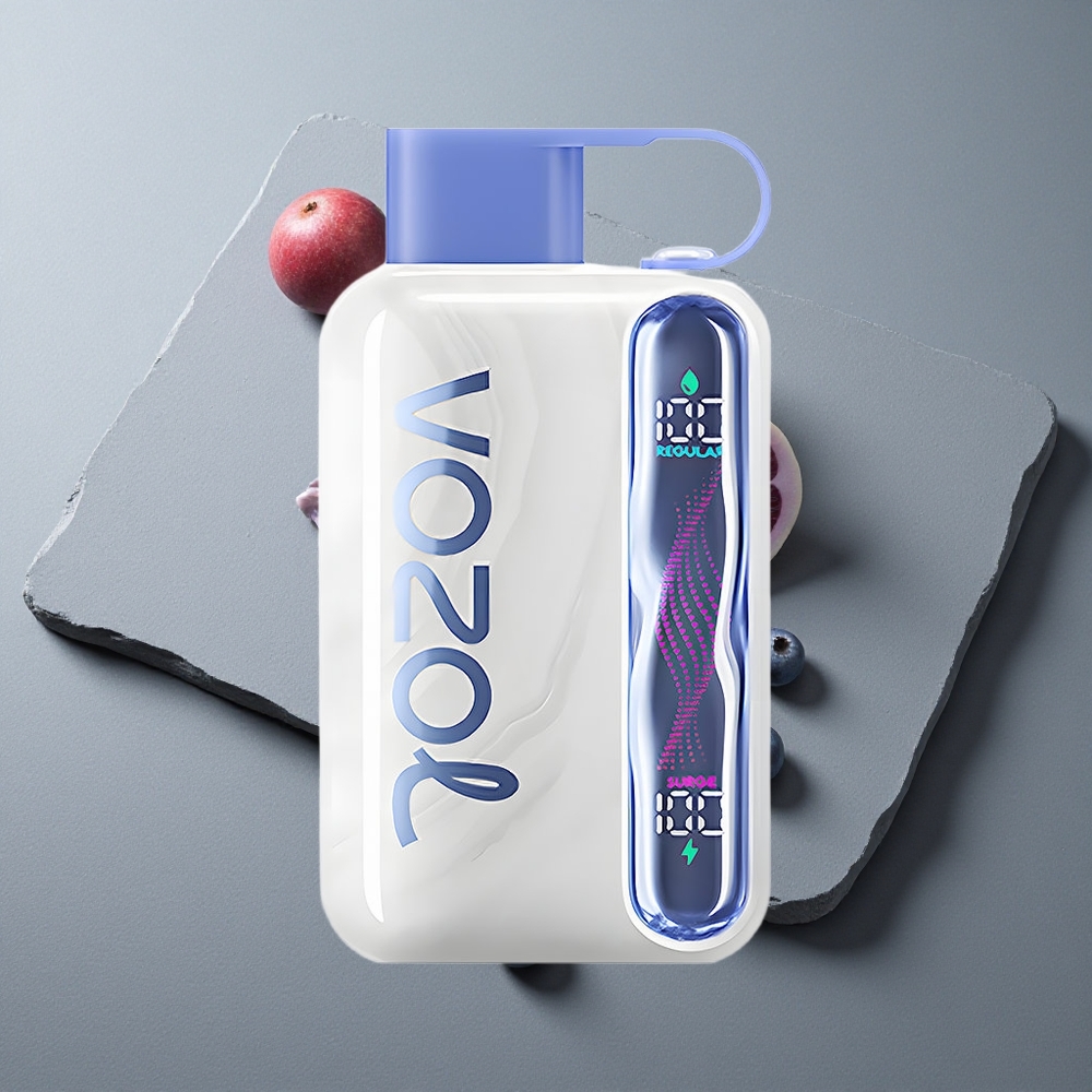 VOZOL STAR 40000 Puffs Vape de unică folosință Afină Înghețată cu Baterie 1000mAh VOZOL STAR 40000 Puffs Vape de unică folosință Afină Înghețată cu Baterie 1000mAh