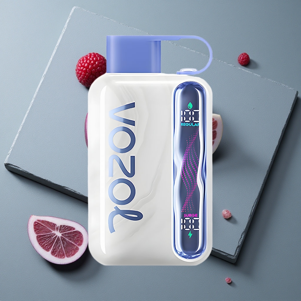 VOZOL STAR 40000 Puffs Vape de unică folosință Afine Gheață Albastră cu Port Type-C VOZOL STAR 40000 Puffs Vape de unică folosință Afine Gheață Albastră cu Port Type-C