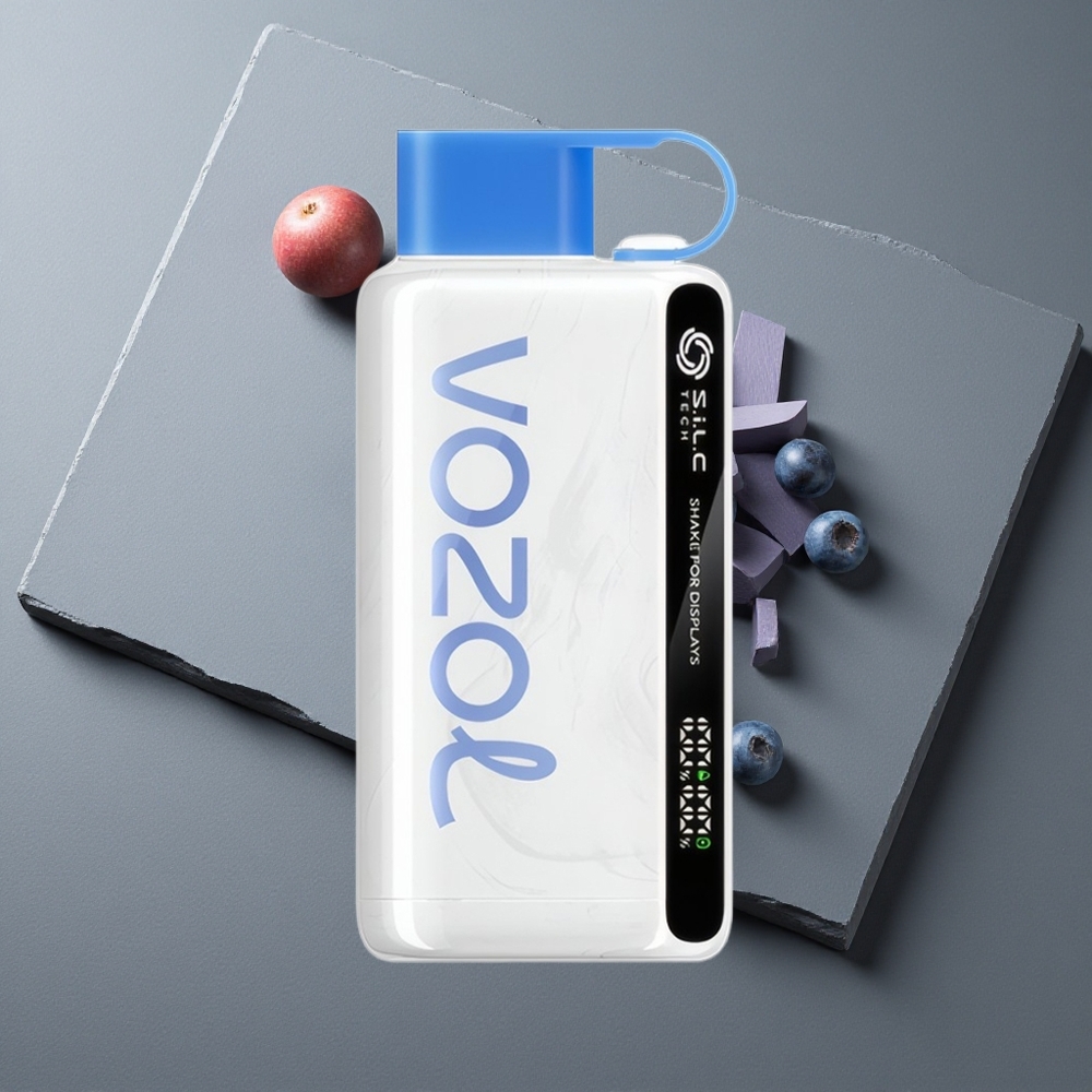 VOZOL STAR 9000/12000 Vape de unică folosință Furtună de Afine cu Încărcare 30% Mai Rapidă VOZOL STAR 9000/12000 Vape de unică folosință Furtună de Afine cu Încărcare 30% Mai Rapidă