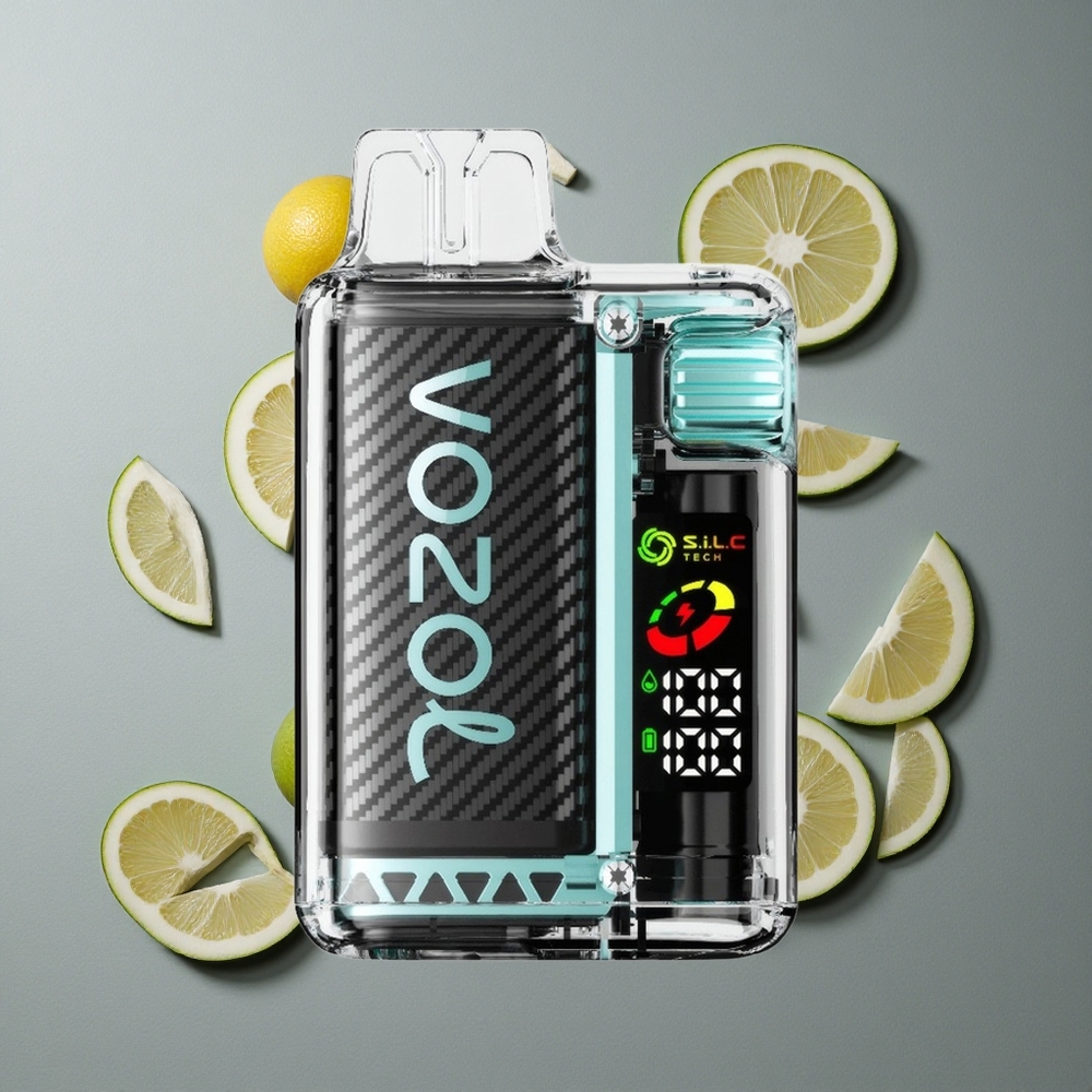 VOZOL Vista 20000 Puffs Reîncărcabil cu Baterie 650mAh și Aromă de Mentă Miami VOZOL Vista 20000 Puffs Reîncărcabil cu Baterie 650mAh și Aromă de Mentă Miami